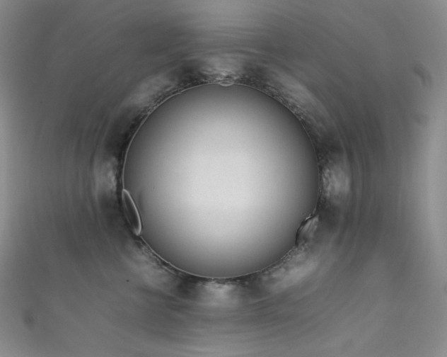X0000111850570200907231431