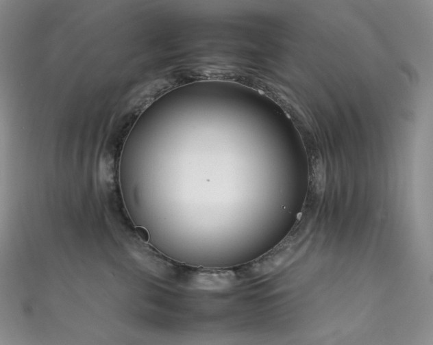 X0000111850571200907231431