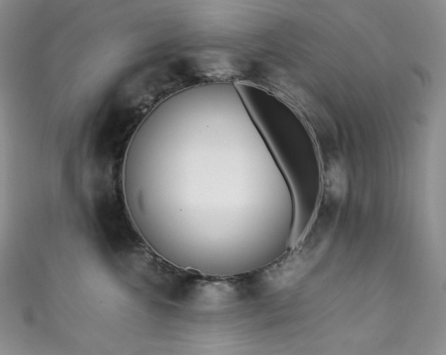X0000111850572200907231431