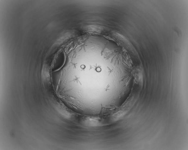X0000111850573200907231431