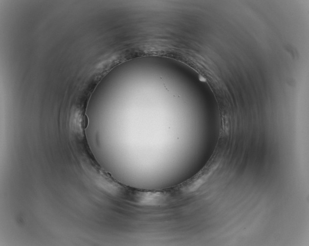 X0000111850575200907231431