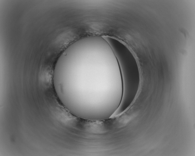 X0000111850576200907231431