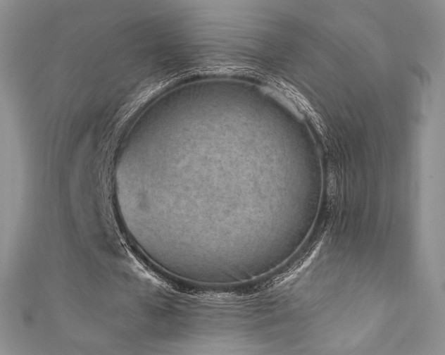 X0000111850577200907231430