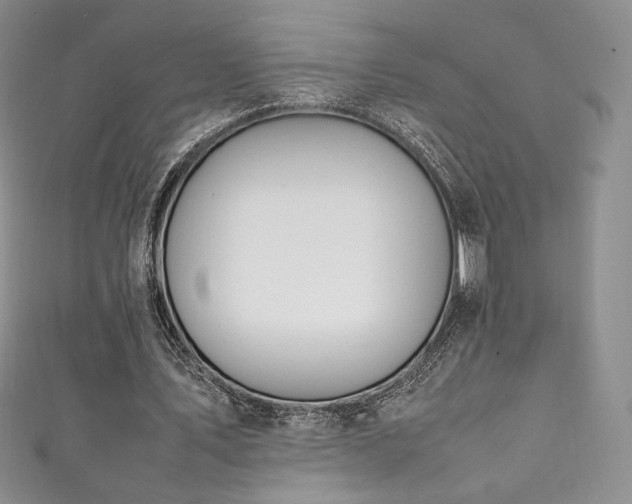 X0000111850579200907231430