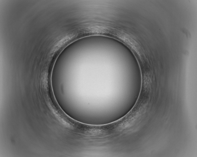 X0000111850581200907231430