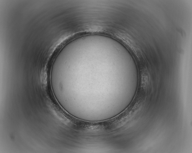 X0000111850584200907231430