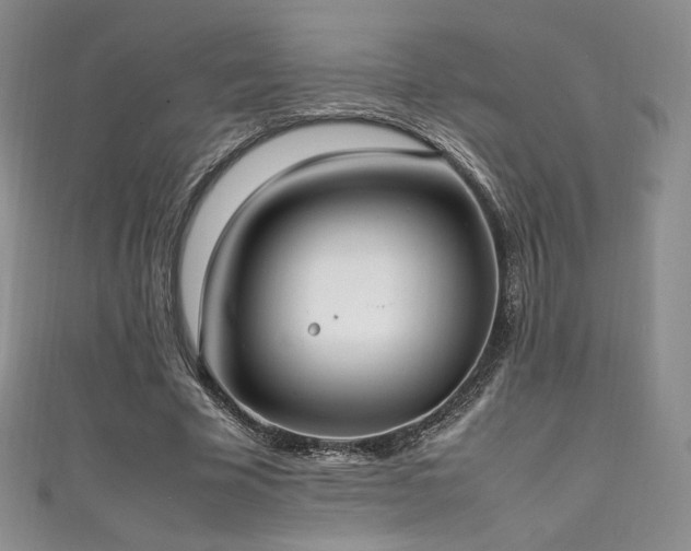 X0000111850585200907231430