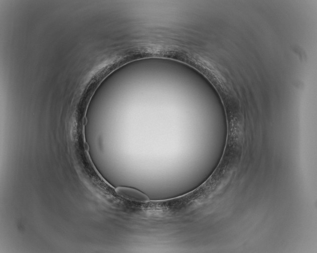 X0000111850587200907231430