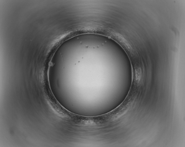 X0000111850588200907231430