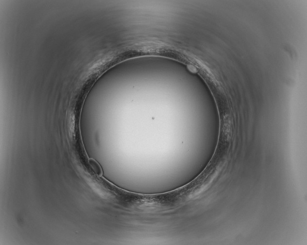 X0000111850589200907231430