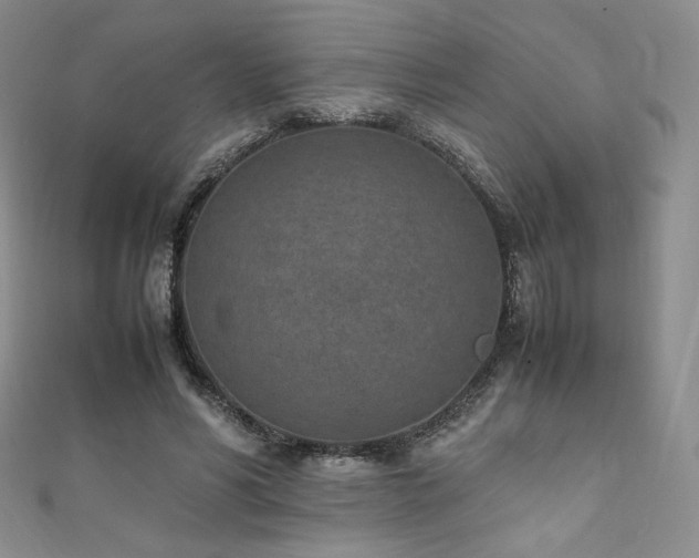 X0000111850590200907231430