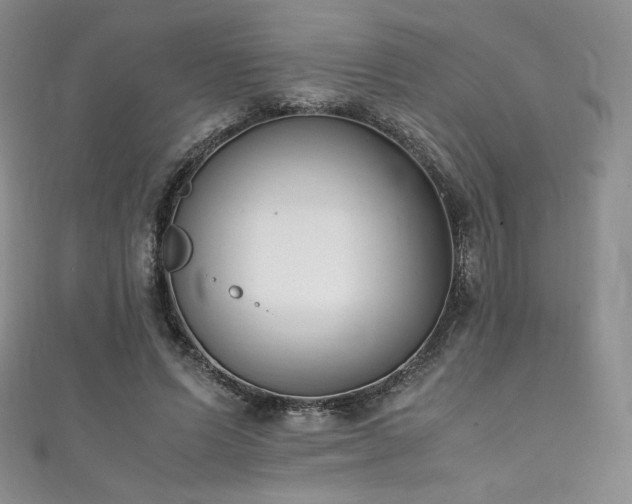 X0000111850591200907231430