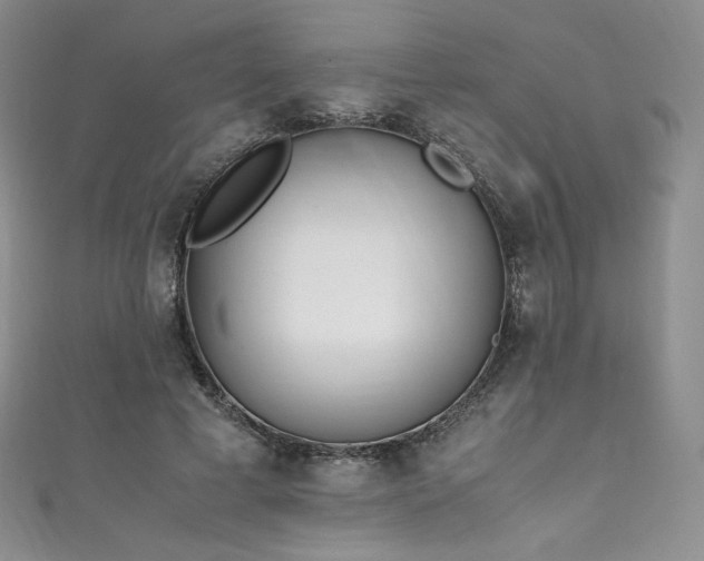 X0000111850593200907231430