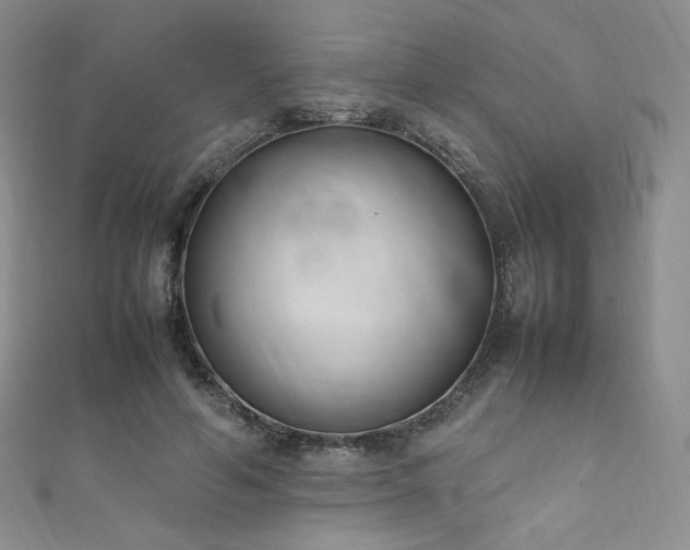 X0000111850594200907231430