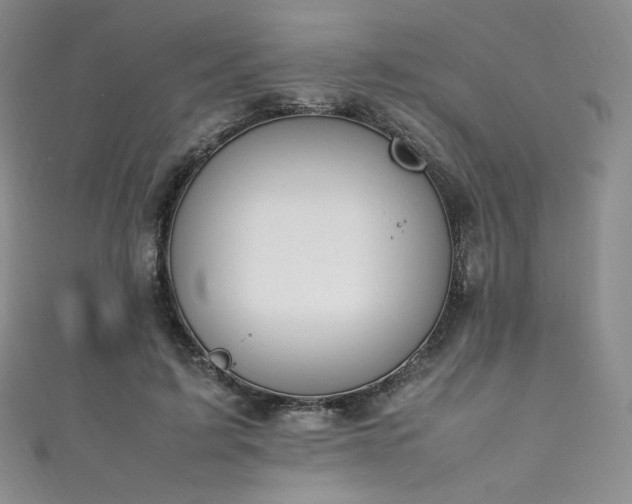 X0000111850595200907231430