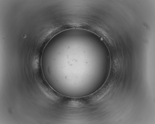 X0000111850596200907231430