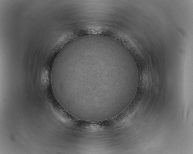 X0000111850598200907231430
