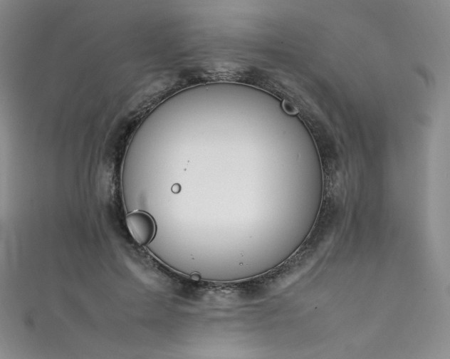 X0000111850599200907231430