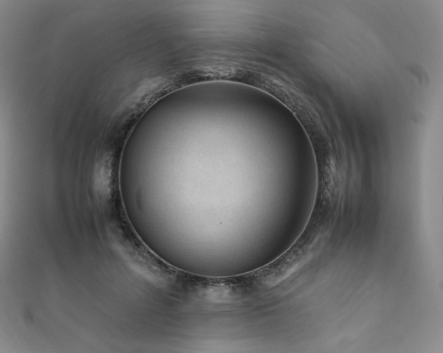 X0000111850600200907231430