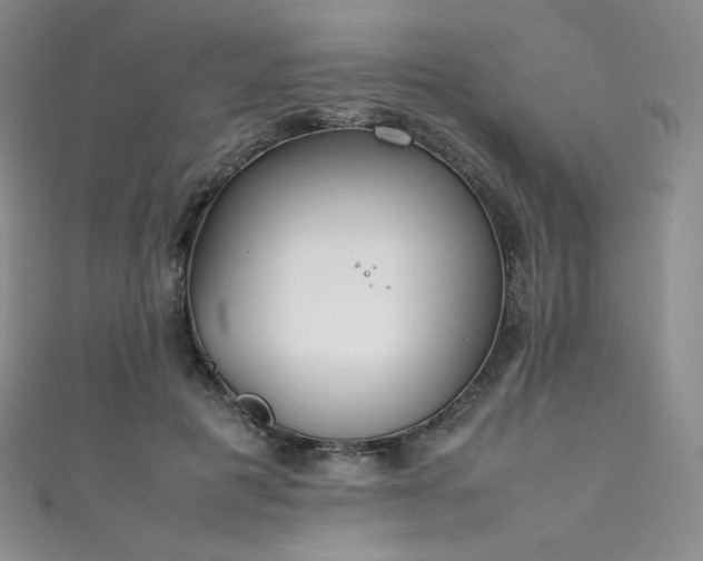 X0000111850601200907231430