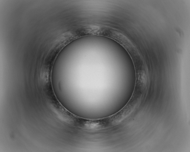 X0000111850602200907231430