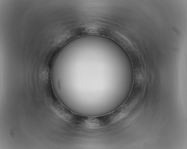 X0000111850603200907231430
