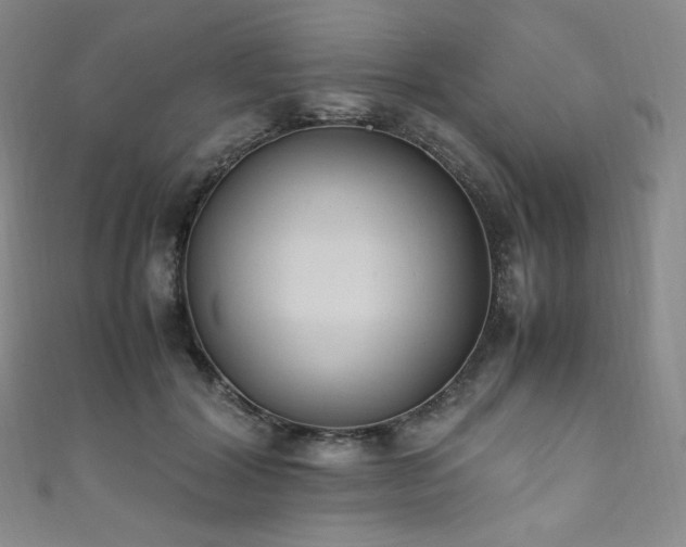 X0000111850604200907231430
