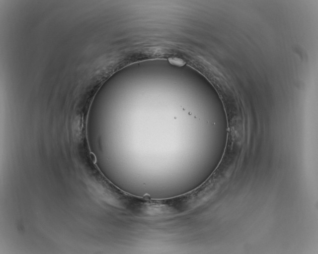 X0000111850605200907231430