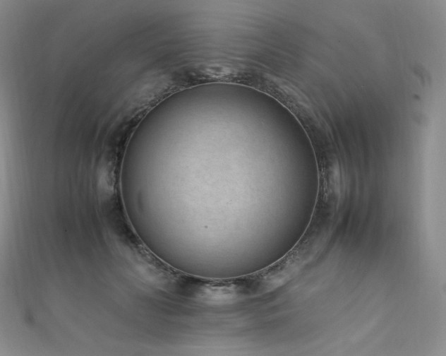 X0000111850606200907231430