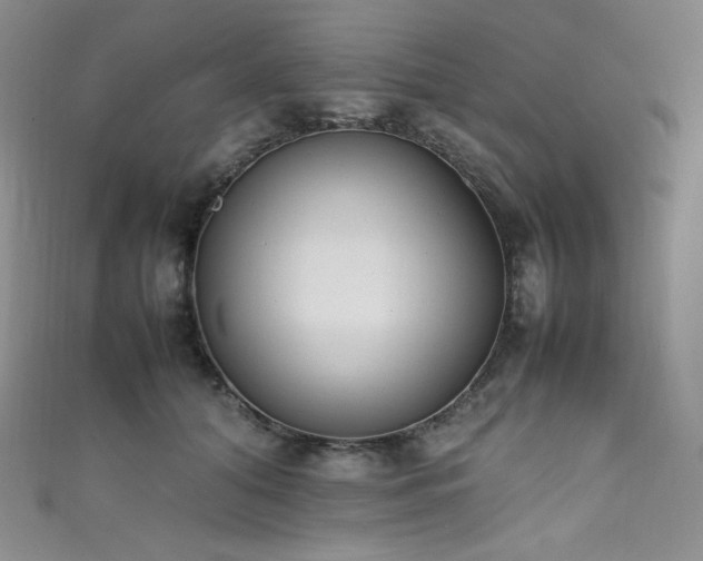 X0000111850608200907231430
