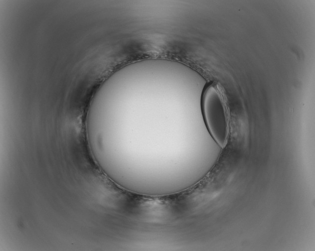 X0000111850611200907231430