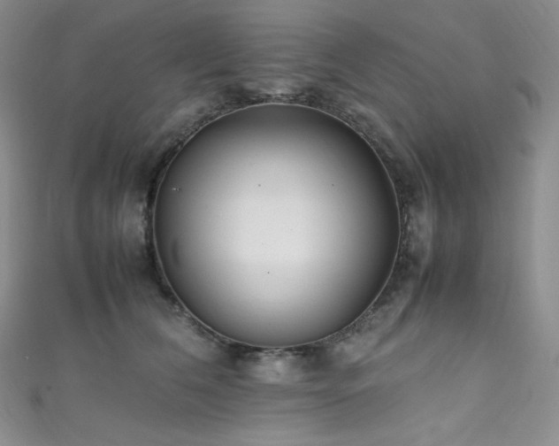 X0000111850612200907231430