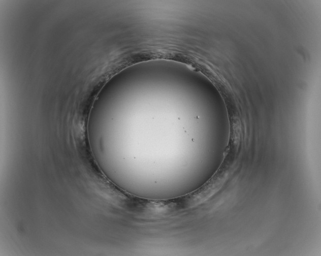 X0000111850613200907231430