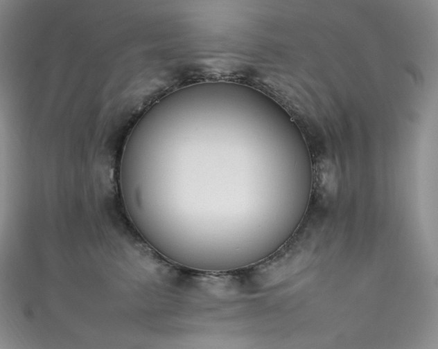 X0000111850615200907231430