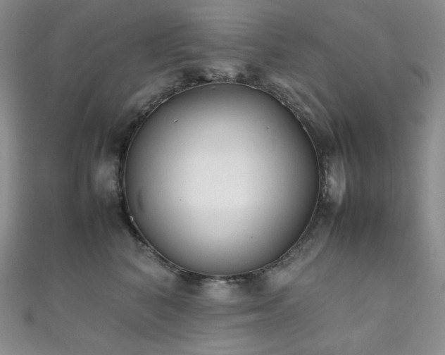 X0000111850616200907231430
