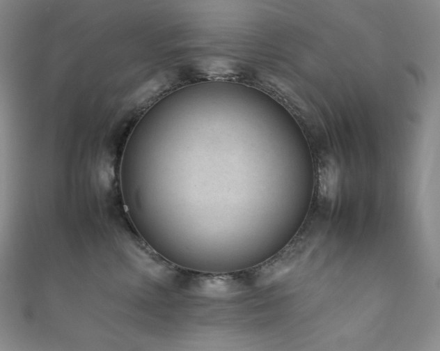 X0000111850618200907231430