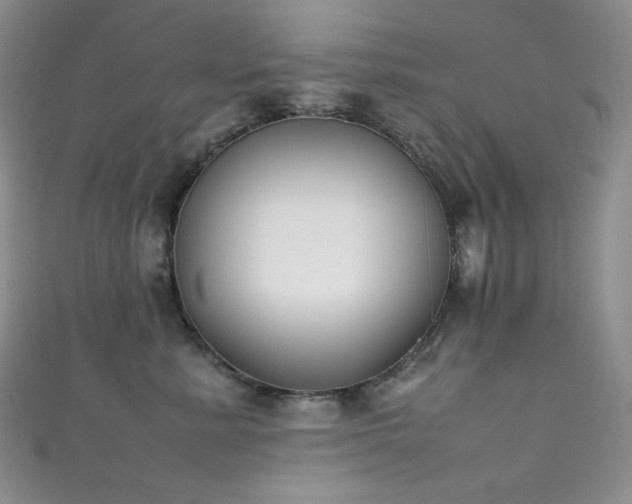 X0000111850619200907231430