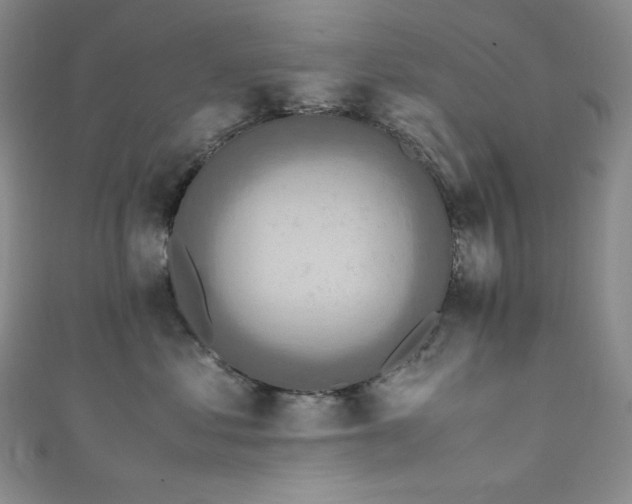 X0000111850621200907231430