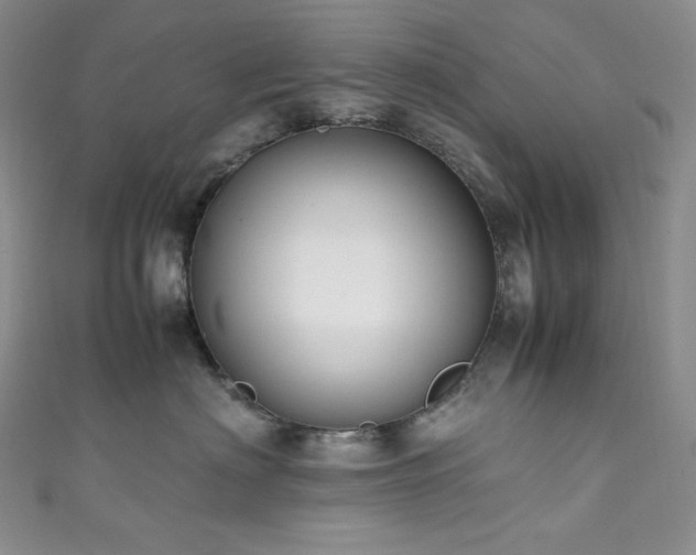 X0000111850622200907231430