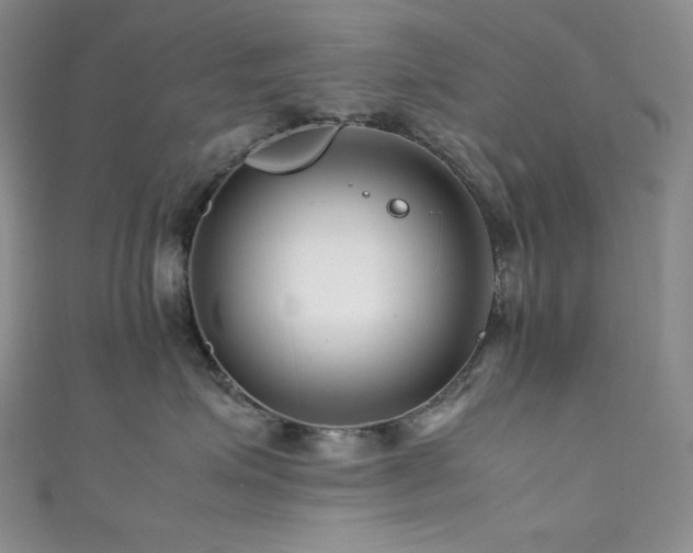 X0000111850623200907231430