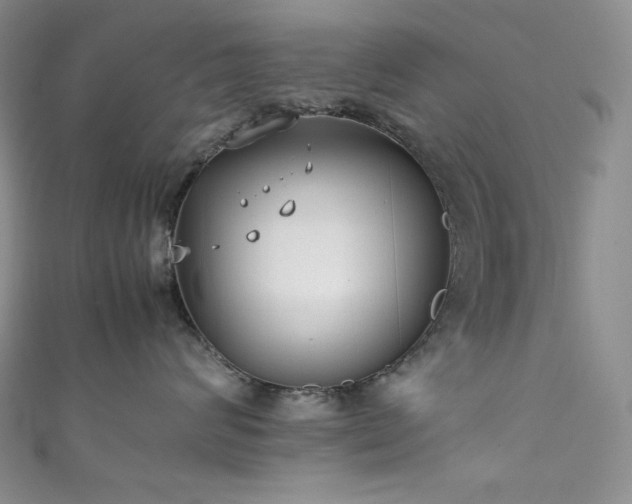 X0000111850624200907231430