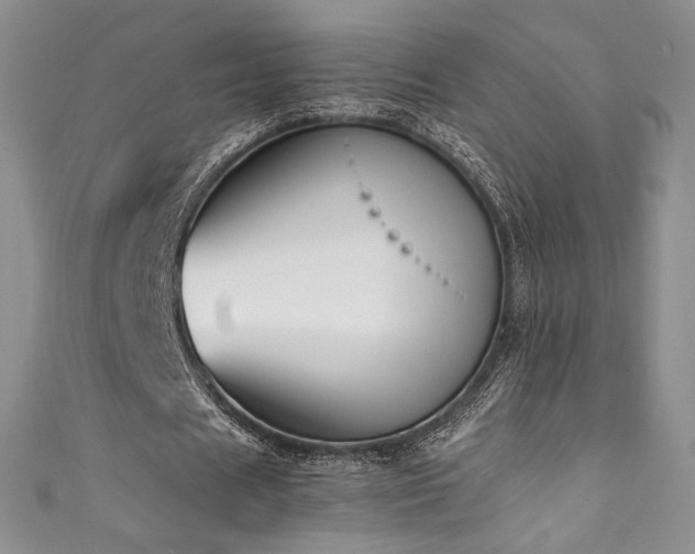 X0000111850625200907231429