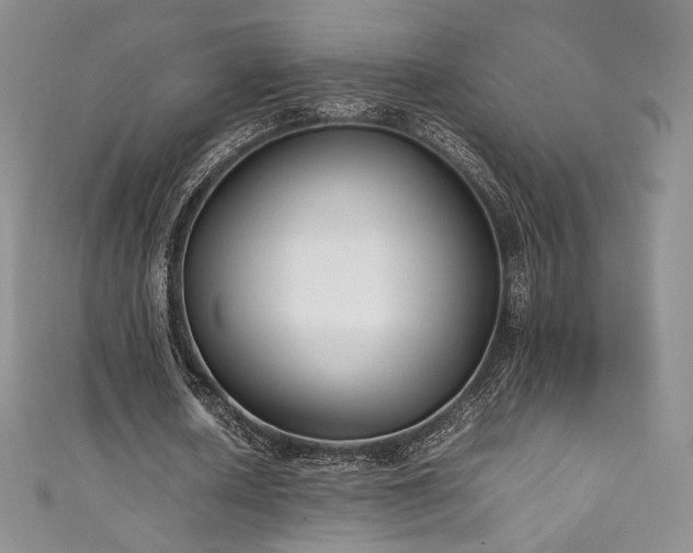 X0000111850626200907231429