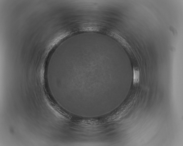 X0000111850627200907231429