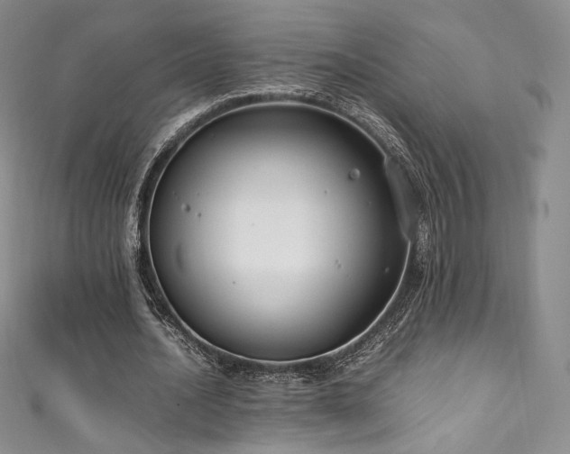 X0000111850628200907231429