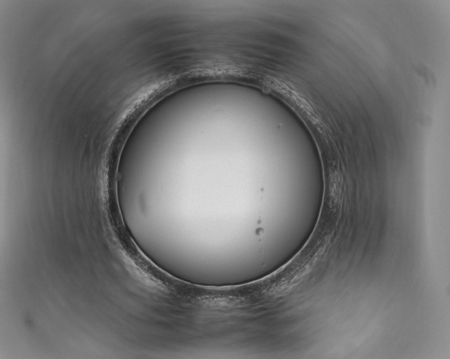 X0000111850629200907231429