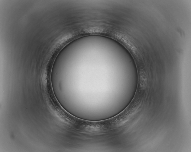 X0000111850631200907231429