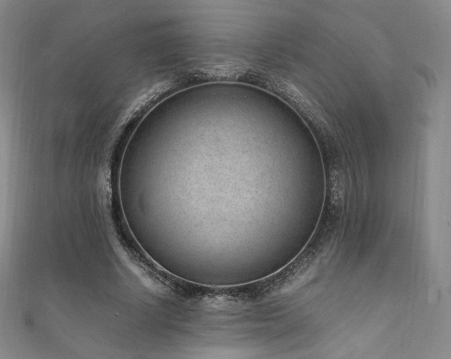 X0000111850634200907231429