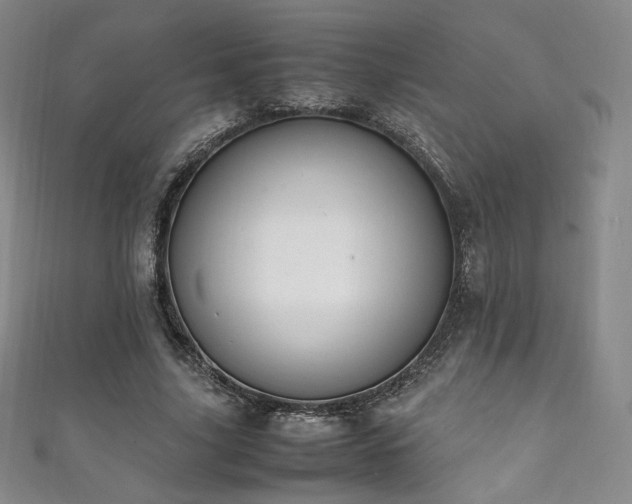 X0000111850635200907231429