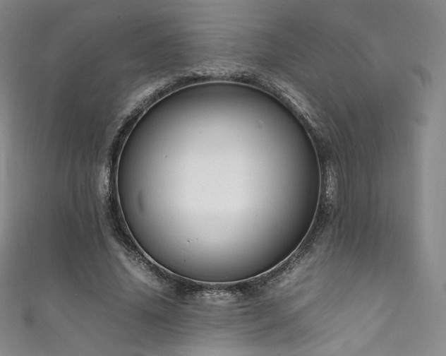 X0000111850636200907231429